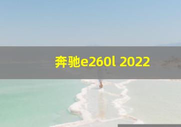 奔驰e260l 2022